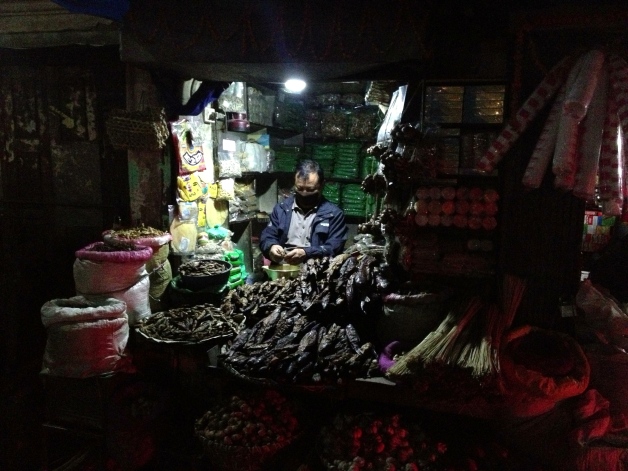 The power in Nepal goes out several times a day for several hours. This is known as "load sharing": not all areas of the country get power at the same time. A few shops have generators to keep at least one light bulb on when this happens at night. Here's a man selling fish from an open stall in KTM during a power cut.
