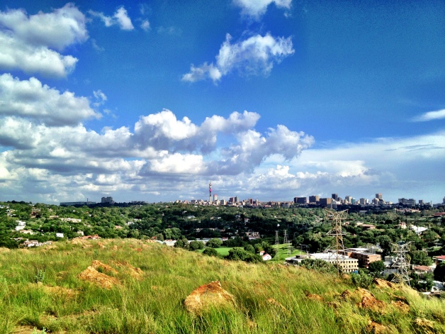 The city as seen from the Melville Koppies (Afrikaans for "hills"). One of the reasons I love Jozi is that it is the biggest manmade forest in the world, with over 10 million trees. It actually looks like a city sprouting up from a dense forest. It's awesome. 